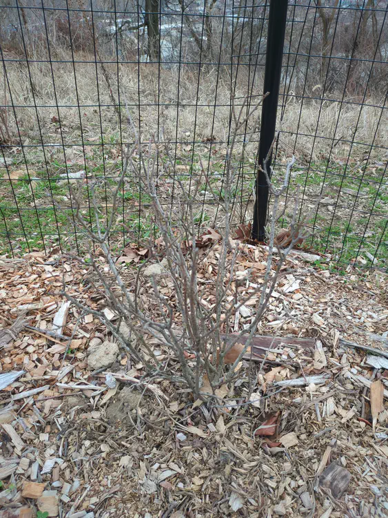 **Added photo** (2026-03-07)