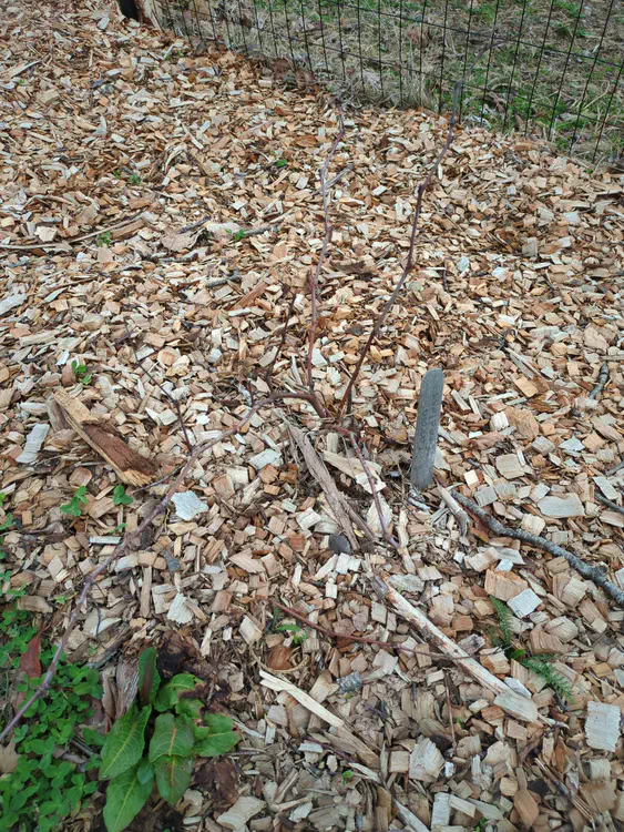 **Added photo** (2026-03-07)