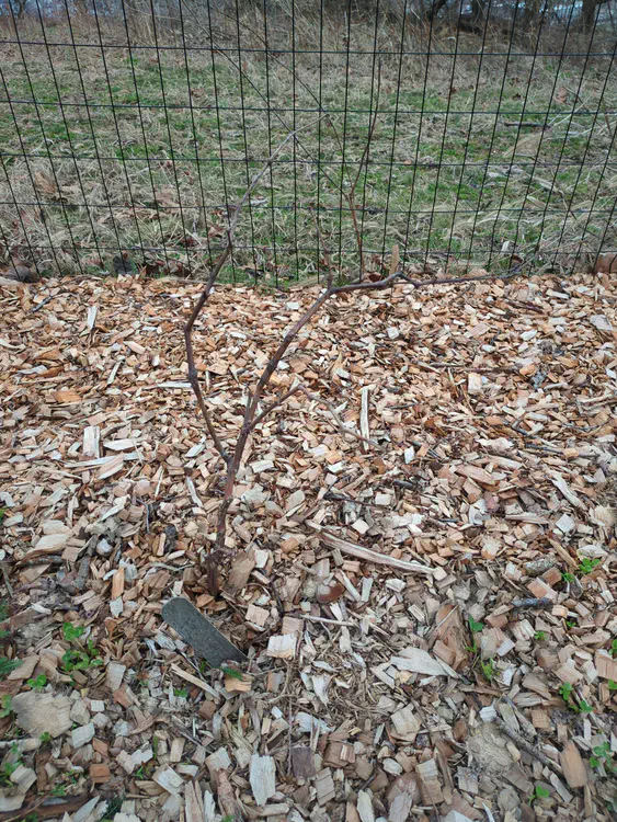 **Added photo** (2026-03-07)