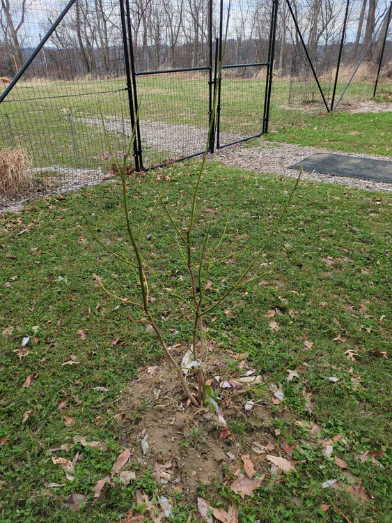 **Added photo** (2026-03-07)