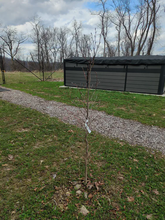 **Added photo** (2026-03-07)