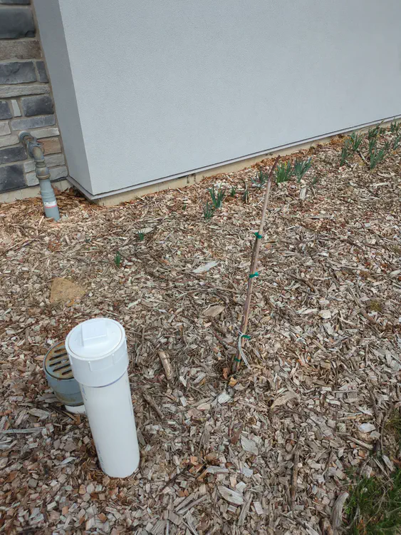 **Added photo** (2026-03-07)