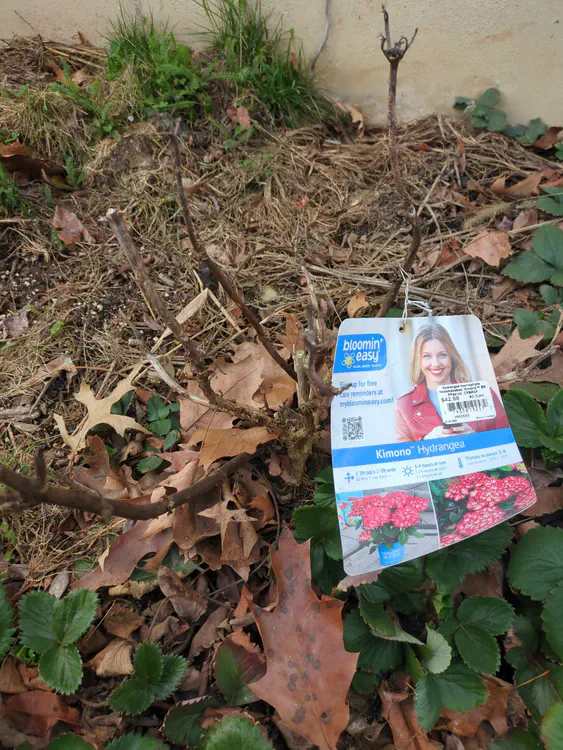 **Added photo** (2026-03-07)