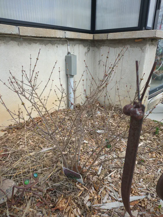 **Added photo** (2026-03-07)