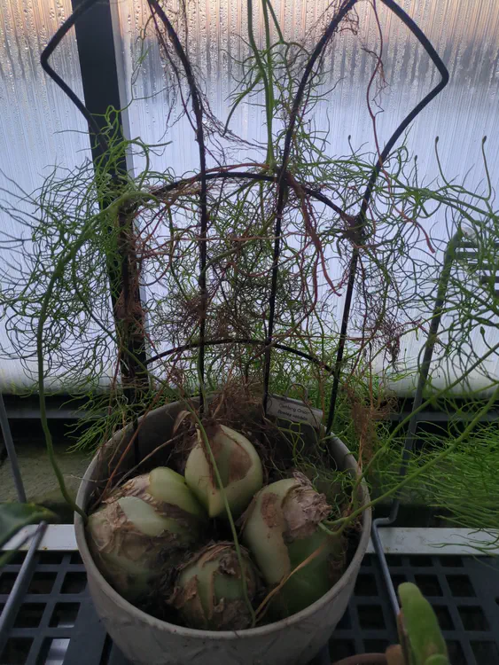 **Added photo** (2026-01-02)