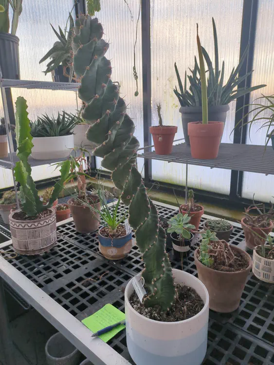 **Added photo** (2026-01-02)