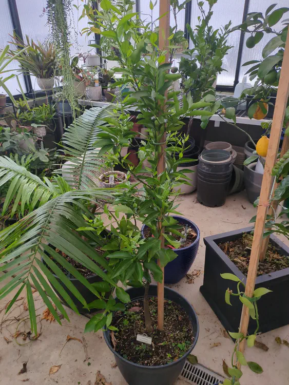 **Added photo** (2026-01-04)