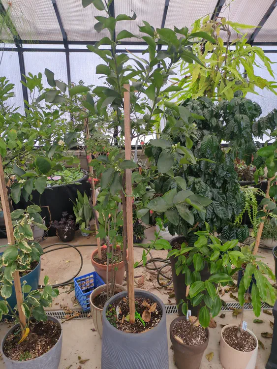 **Added photo** (2026-01-04)