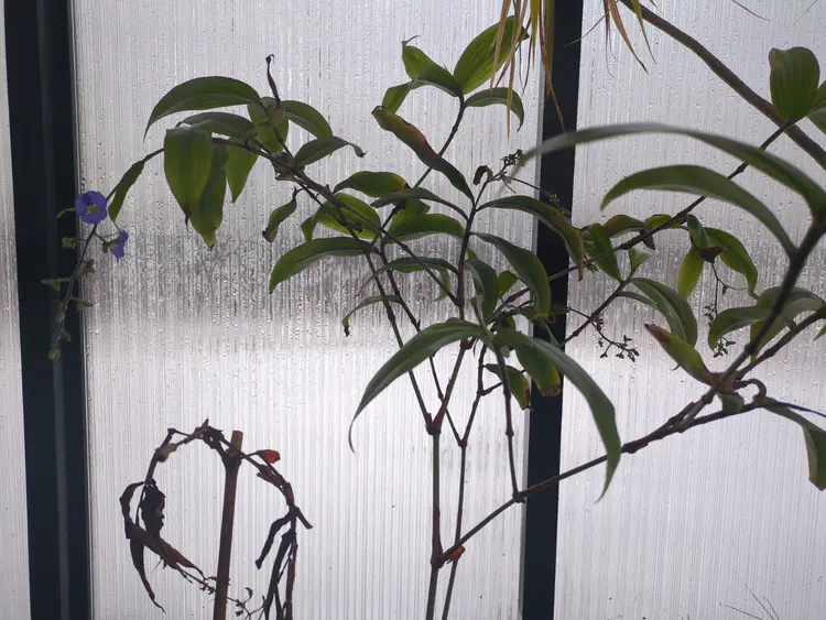 **Added photo** (2026-01-03)