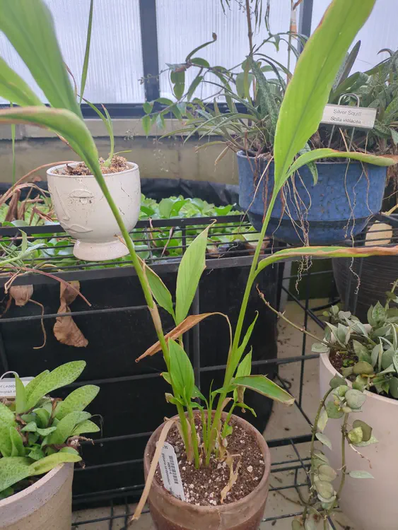 **Added photo** (2026-01-03)