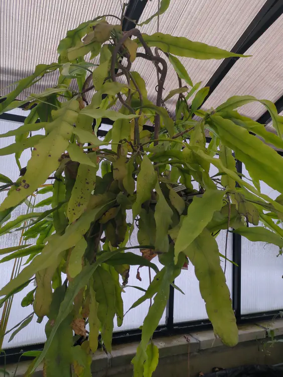 **Added photo** (2026-01-03)