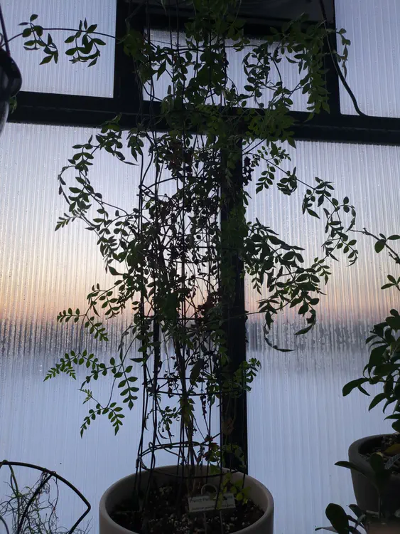 **Added photo** (2026-01-02)