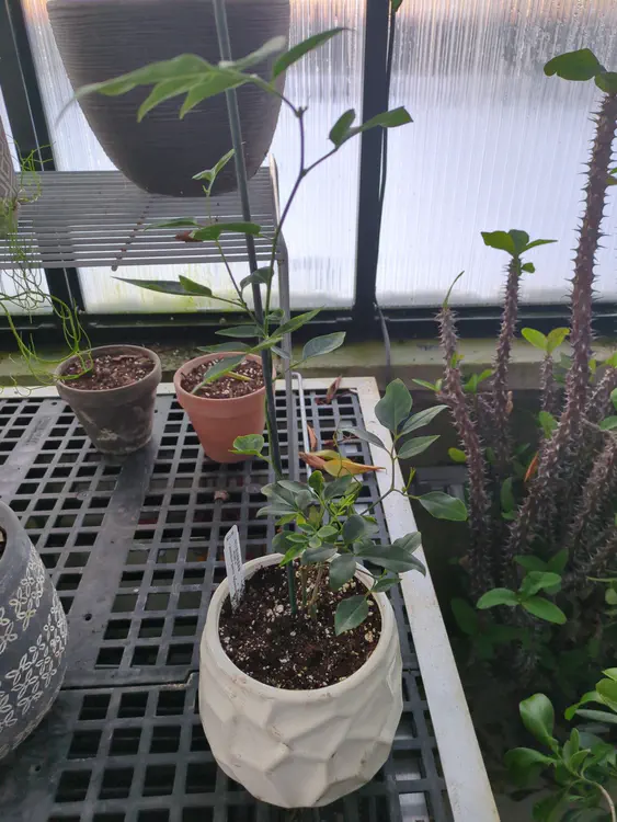 **Added photo** (2026-01-02)