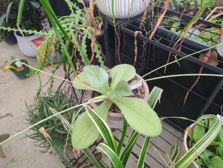 **Added photo** (2026-01-03)