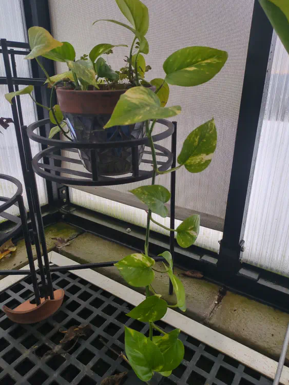 **Added photo** (2026-01-04)