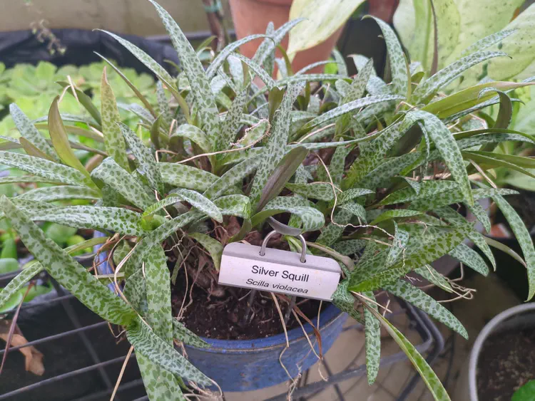 **Added photo** (2026-01-03)