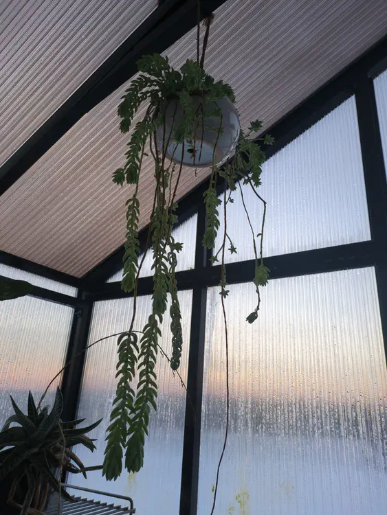 **Added photo** (2026-01-02)