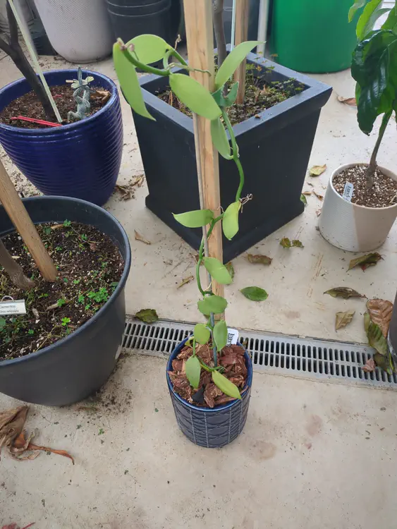 **Added photo** (2026-01-04)