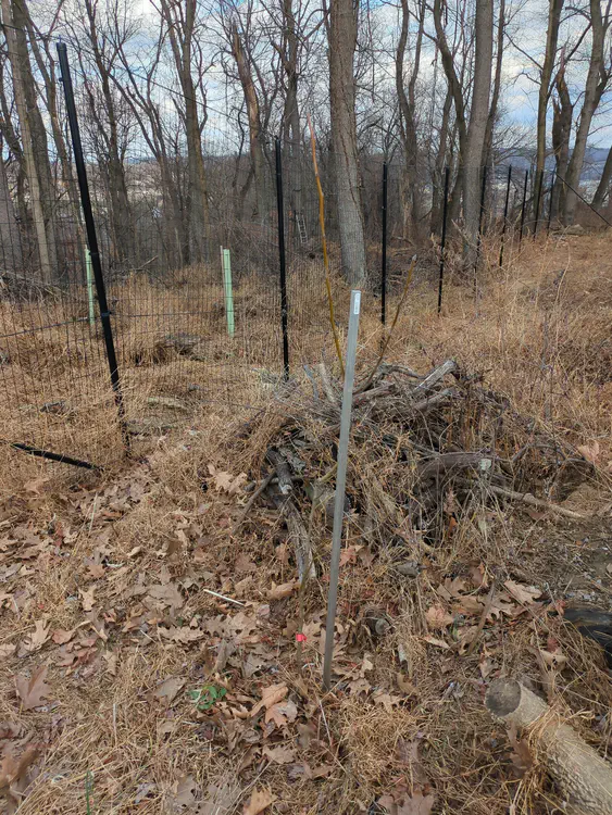 **Added photo** (2026-03-07)