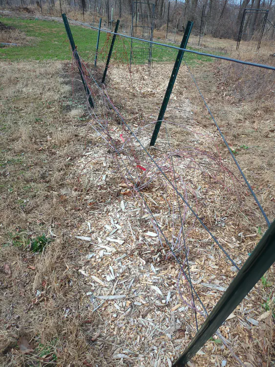 **Added photo** (2026-03-07)