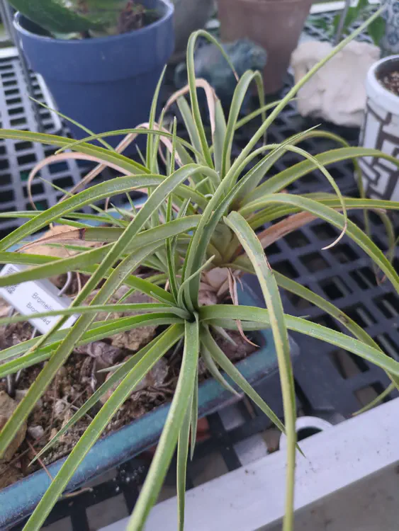 **Added photo** (2026-01-02)