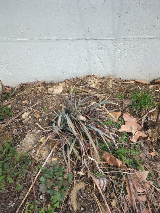 **Added photo** (2026-03-07)