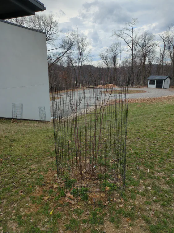 **Added photo** (2026-03-07)