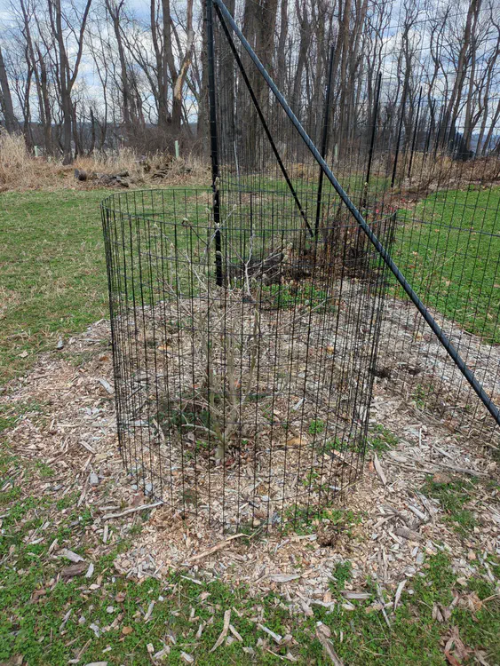 **Added photo** (2026-03-07)