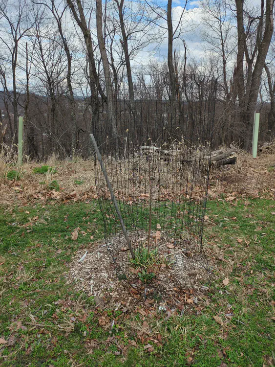 **Added photo** (2026-03-07)