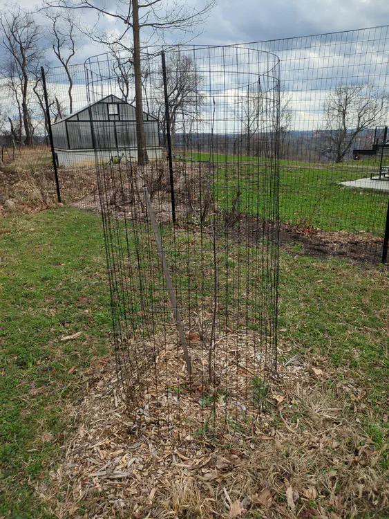 **Added photo** (2026-03-07)