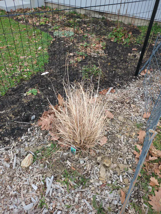 **Added photo** (2026-03-07)