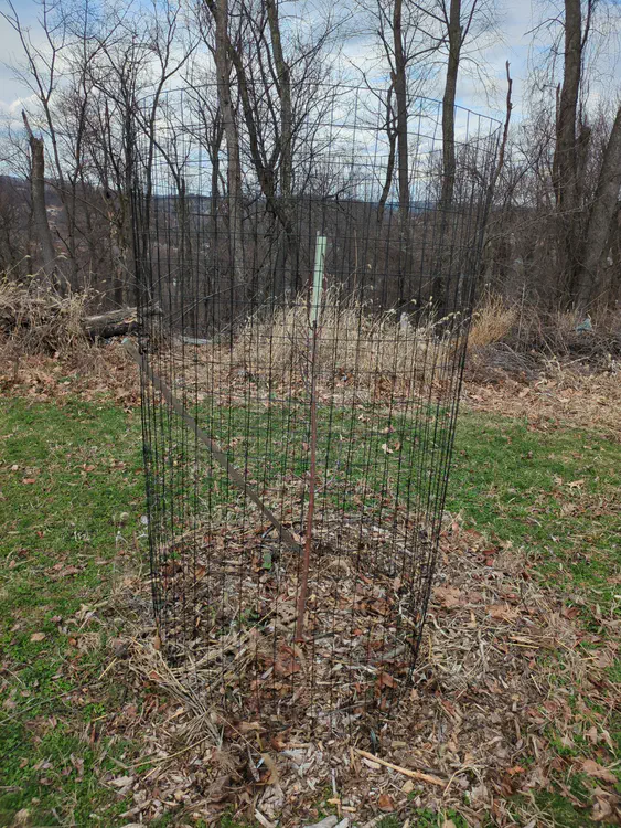 **Added photo** (2026-03-07)