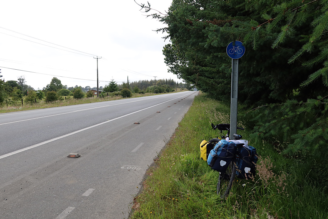 Bike lane along route 225.