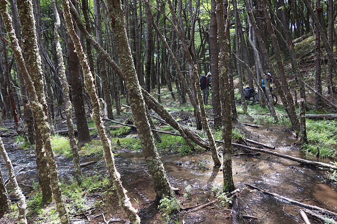 Both the streams and the path migrate over time, I think.