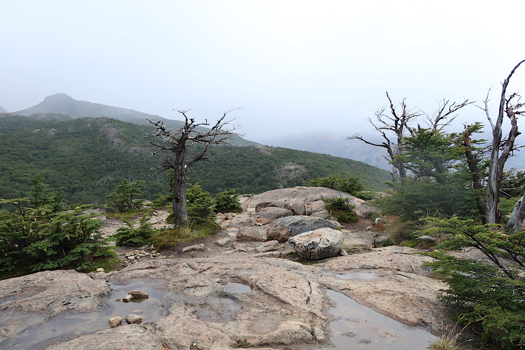 Wet rocks