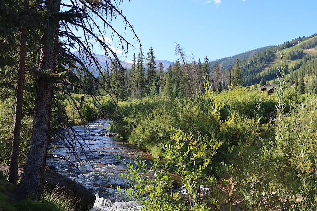 Stream by the trail