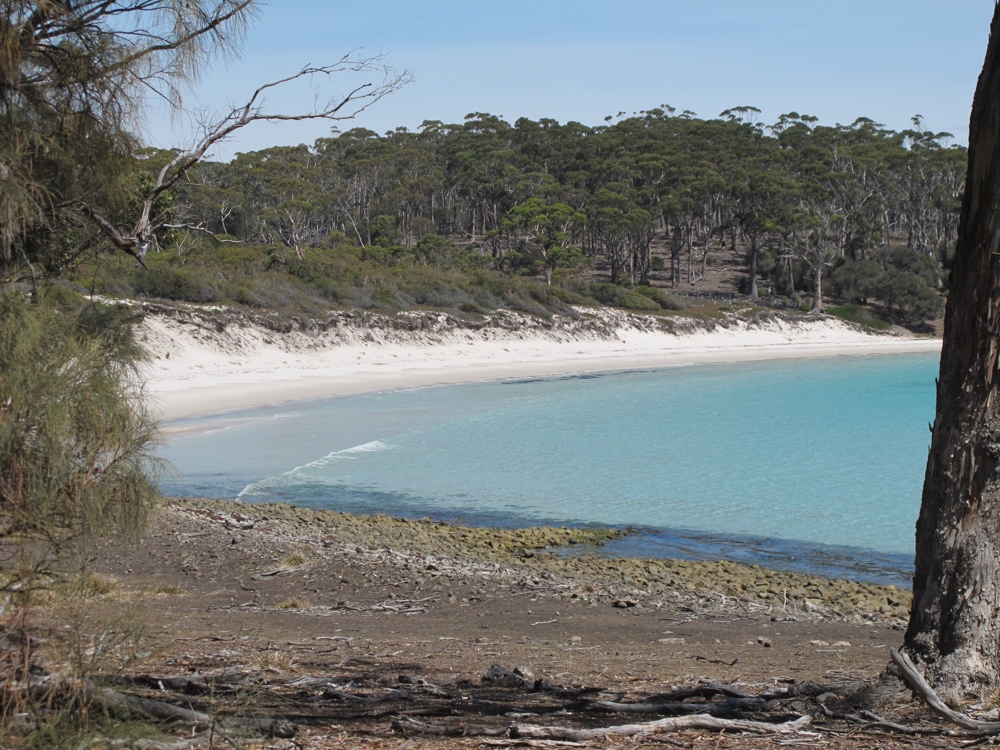 The signature white sand and blue ocean of eastern Tasmania.
