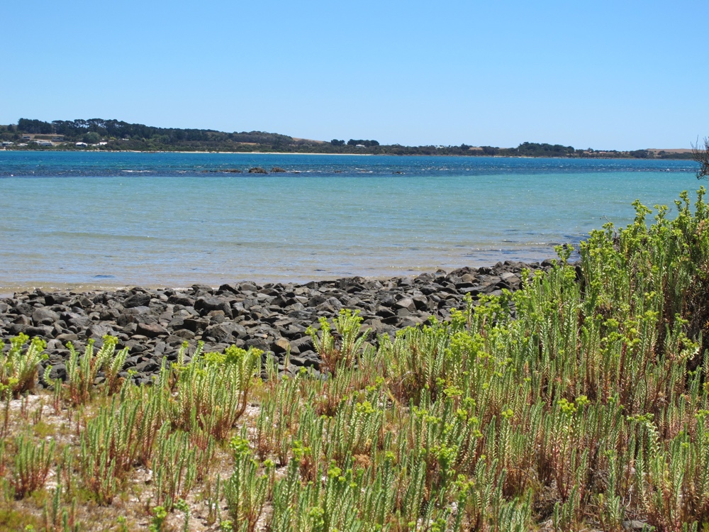 The non-sandy beach.