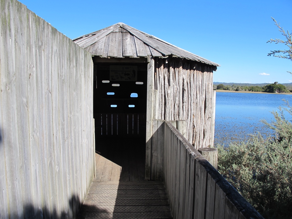 A place to spy on birds.