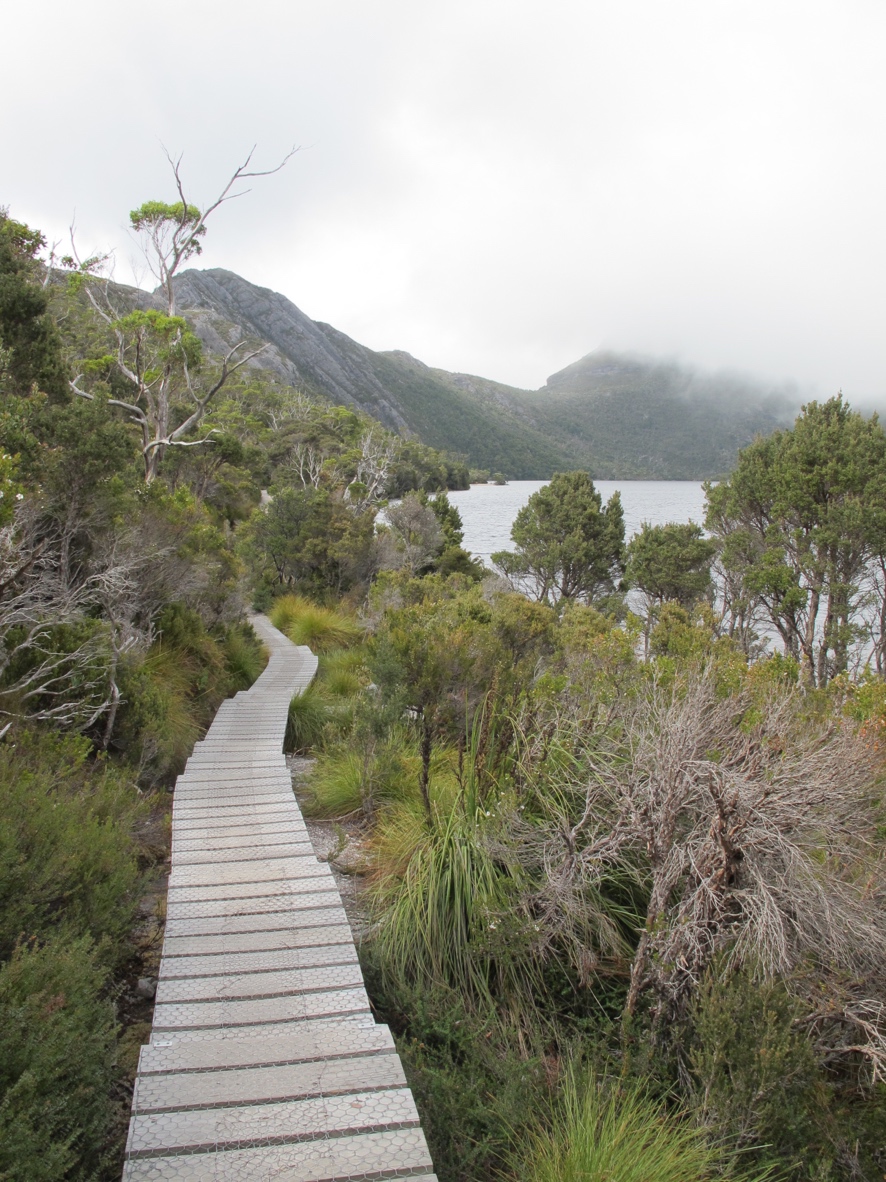 This is a very well used trail, and is correspondingly well constructed. Lots of boardwalk.