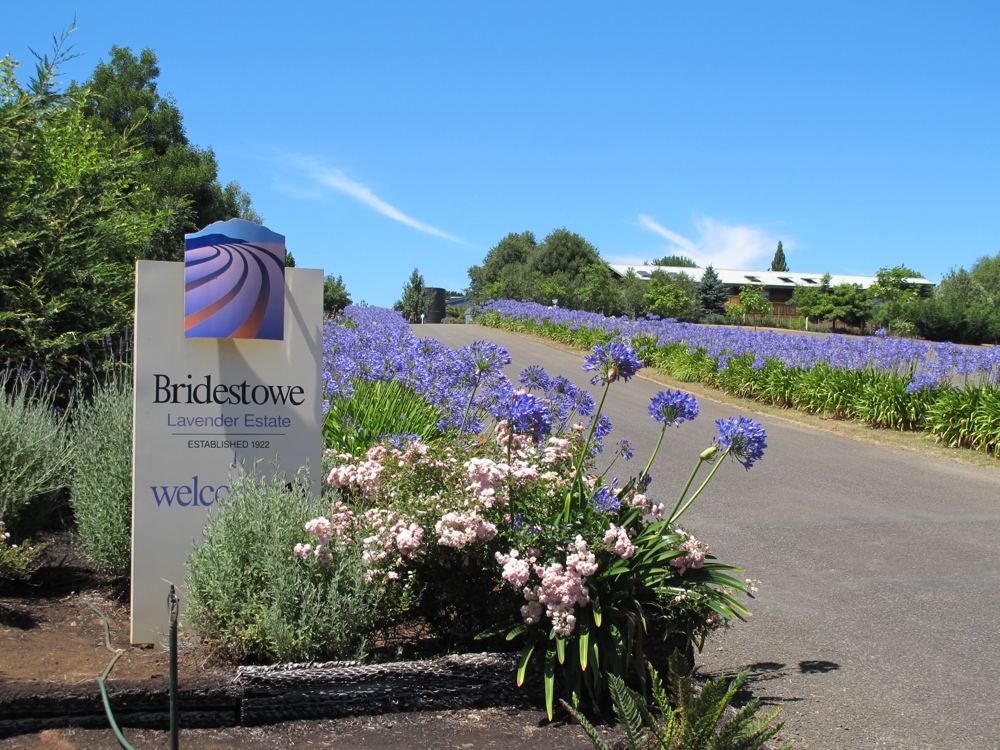 Bridestowe entrance