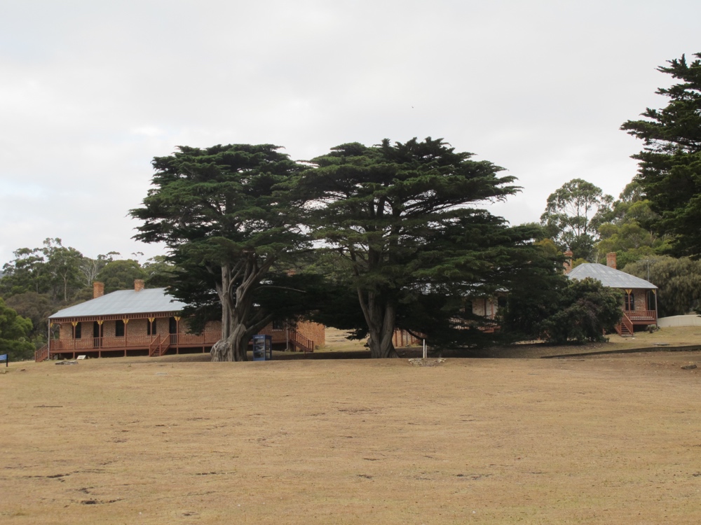 Old buildings, old trees.