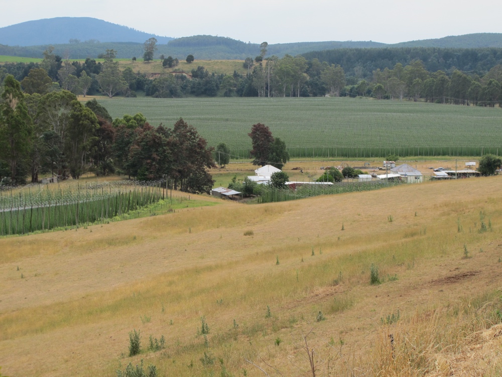 Fields and fields.