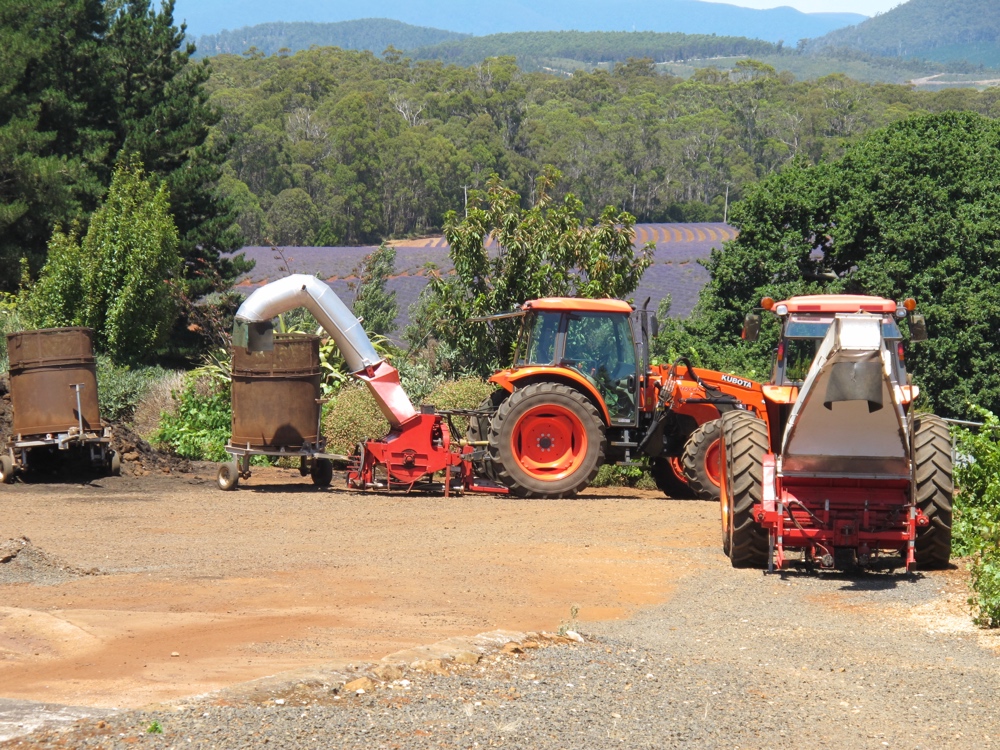 Lavender harvesters.