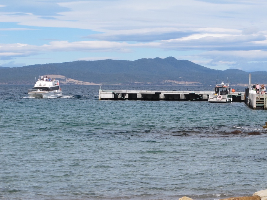The Maria Island ferry on its first run of the day.