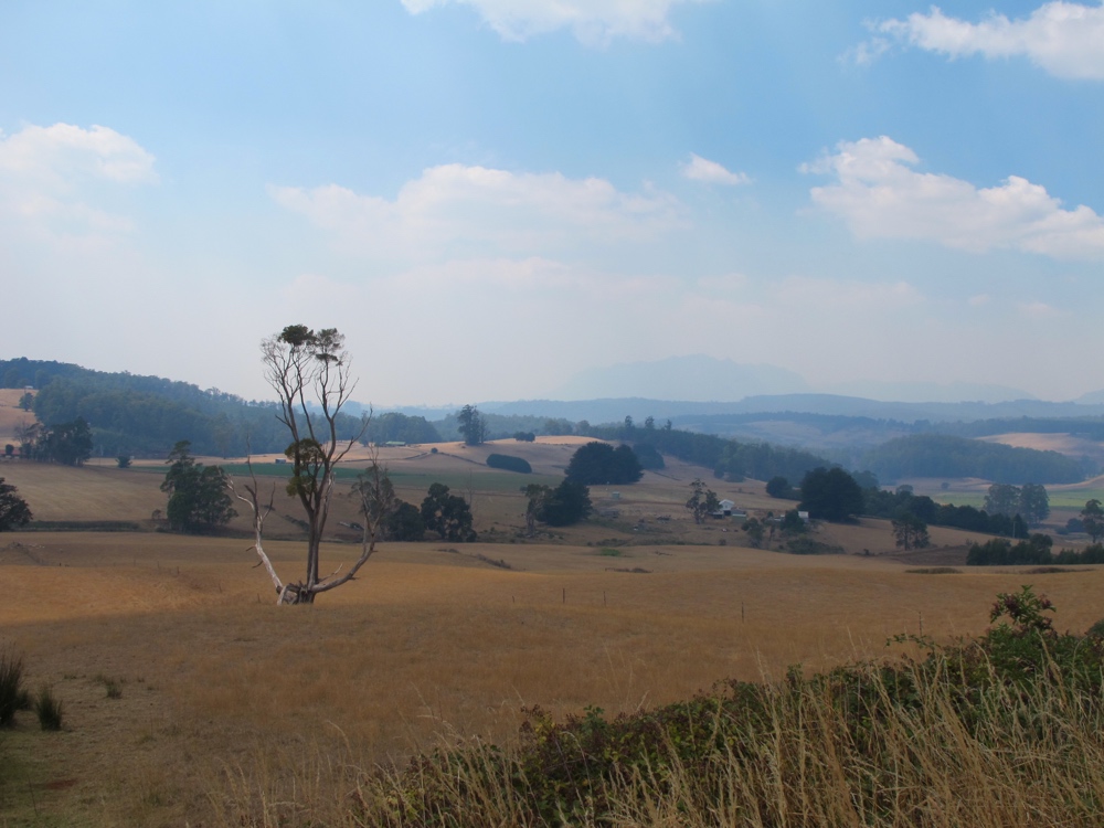 The fields of northern Tasmania.