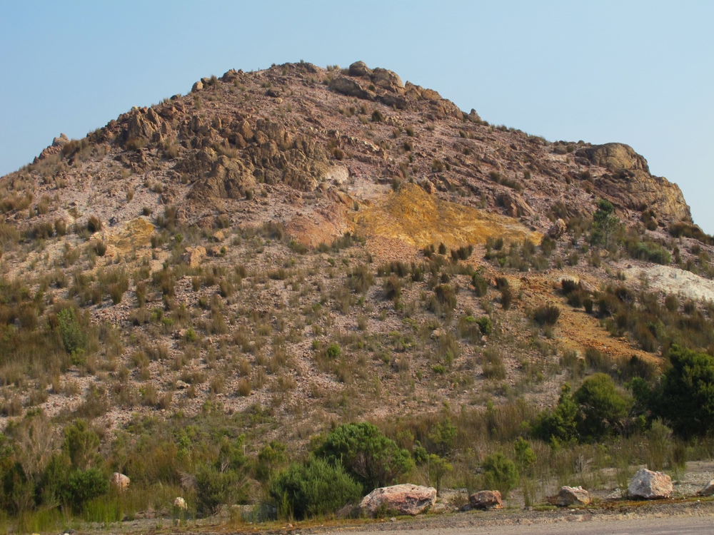 Some bits of vegetation are apparently starting to recover, but it&#8217;s slow.