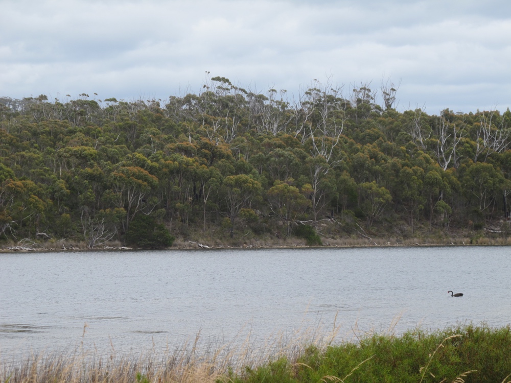 The lake before Scamander.