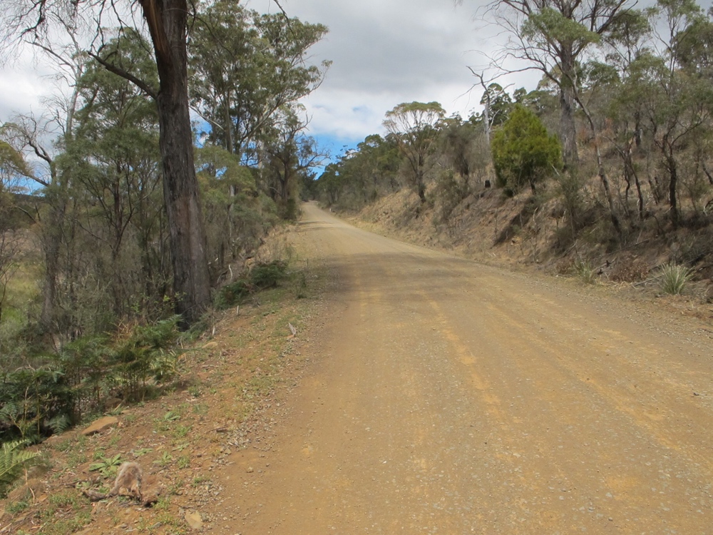 Nugent Road. It&#8217;s hard to tell in the photo, but this was a rather steep hill.