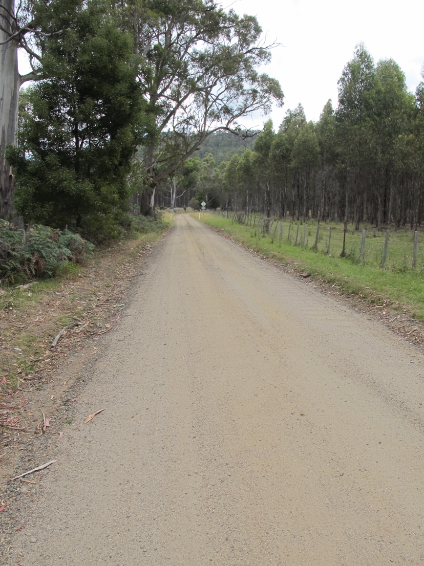 The road to Douglas Apsley park.